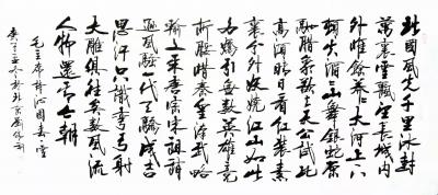 刘胜利日记-行书书法作品毛主席诗词《沁园春雪》；诗文：
北国风光，千里冰封，万里雪飘。
【图1】