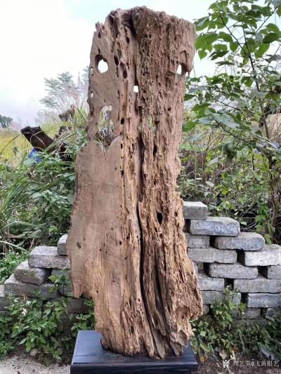 飞黄根艺日记-根雕作品：《梦回敦煌》
材料：金丝楠木 
尺寸：长63CM宽29CM高188【图7】