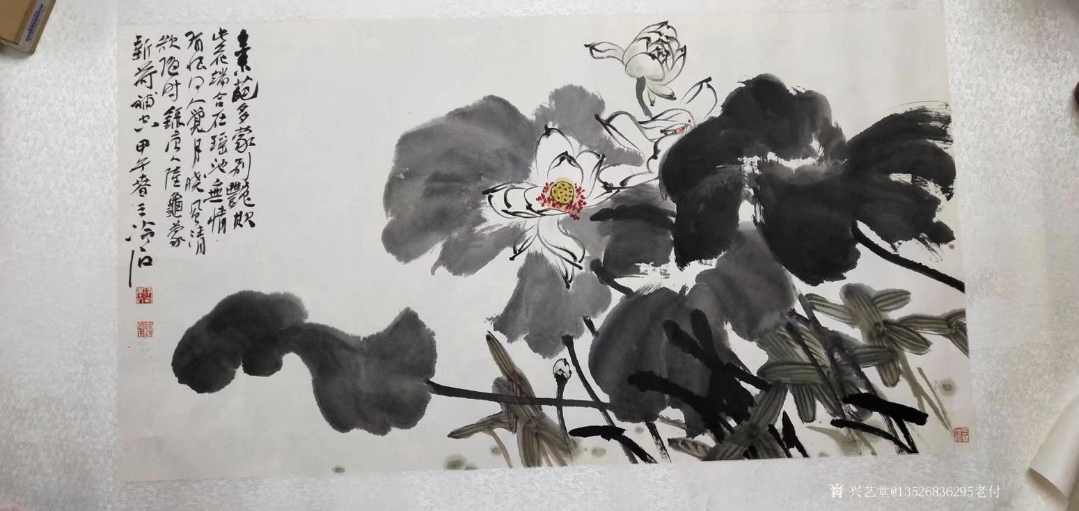 13526836295老付国画作品《荷花瑶池》【图0】