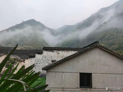 刘晓宁日记-安静是品，清静为性，宁静生明，恬静成美。或许是年龄改变吧，总觉得宁静是一朵花，静【图1】