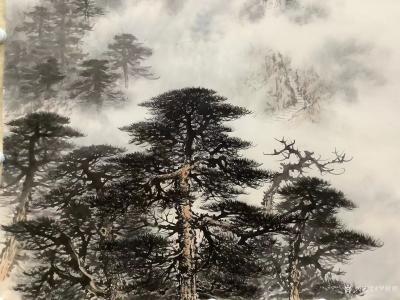 罗树辉日记-国画山水画新作：《只缘身在此山中》，作品尺寸四尺竖幅68X138CM;辛丑年初春【图5】