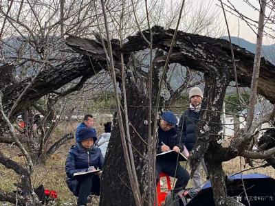 石广生生活-经过七八天的野外集训式写生，每个人都带着一身淡淡的梅花花香和满满的学习收获归来。【图6】