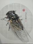 谷风日志-国画动物工笔画《知了》，偶得一知了，观之画之。庚子年秋月谷风【图2】