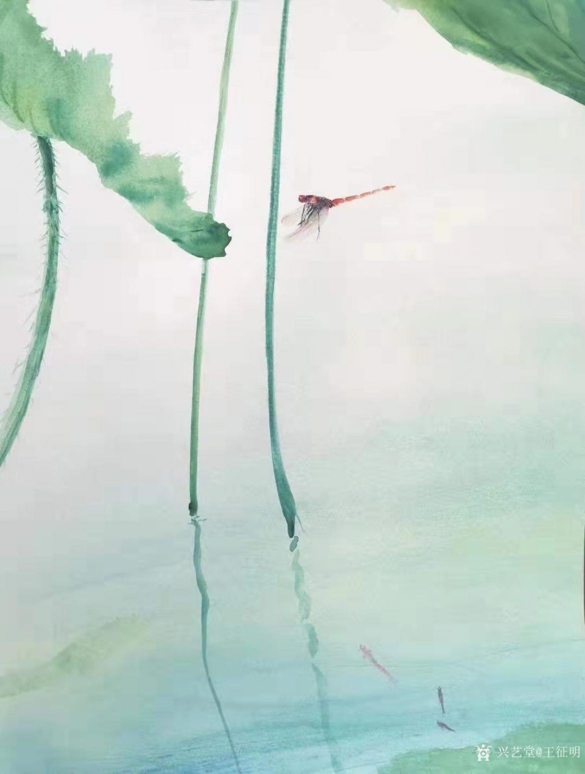 王征明国画作品《水意画“戏荷”》【图0】