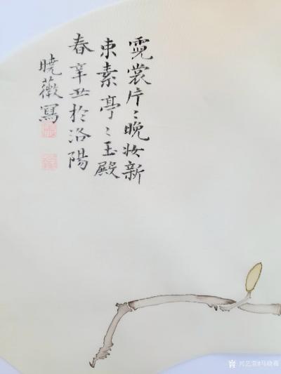 马晓薇日记-花卉写生作品《玉兰花》，国画花鸟画，辛丑年马晓薇画於洛阳。
“霓裳片片晚妆新，【图3】