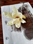 马晓薇日志-花卉写生作品《玉兰花》，国画花鸟画，辛丑年马晓薇画於洛阳。
【图4】