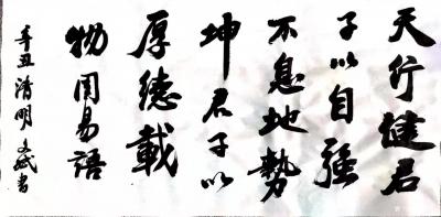 陈文斌日记-辛丑清明书法家陈文斌书  周易语：天行健，君子以自强不息，地势坤，君子以厚德载物【图1】