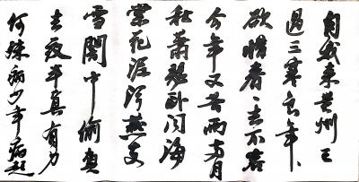 陈文斌日记-陈文斌书苏东坡《黄州寒食诗》。自我来黄州已过三寒食，年年欲惜春，春去不容惜，今年【图1】