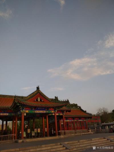 杨牧青日记-五四·京郊行吟·乘带着清晨的一缕阳光，吞吐着清晨的清气而行！
阵阵清风习习起，【图1】