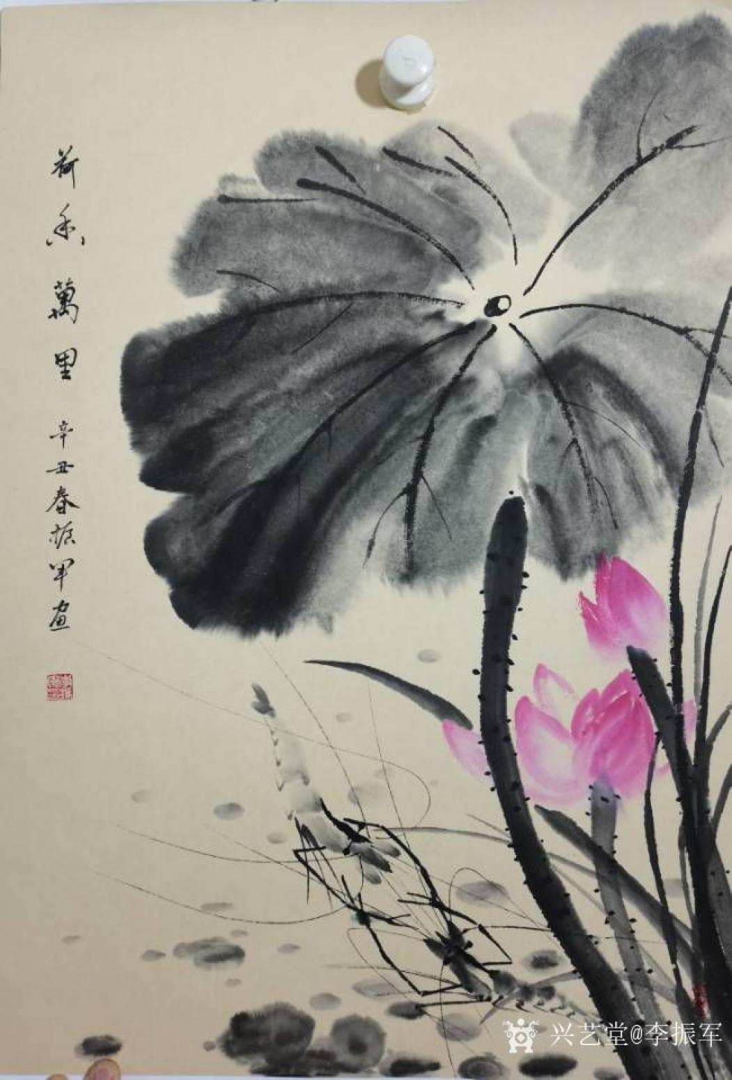 李振军国画作品《花鸟-荷香万里-对虾》