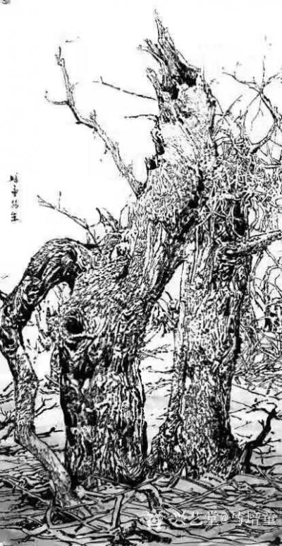 马培童收藏-对话苏轼——潘玮萱评马培童（24）
  北宋中期，出现了一批文人画热潮，一批士【图3】