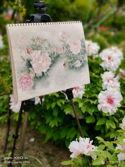 罗虹明生活-方彩植物园真的很美，每个角落都是一幅画。春日，携友踏青写生。
寻芳泗水滨，无边【图1】