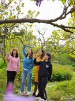 艺术家罗虹明生活:方彩植物园真的很美,每个角落都是一幅画。春日,携友踏青写生。【图5】