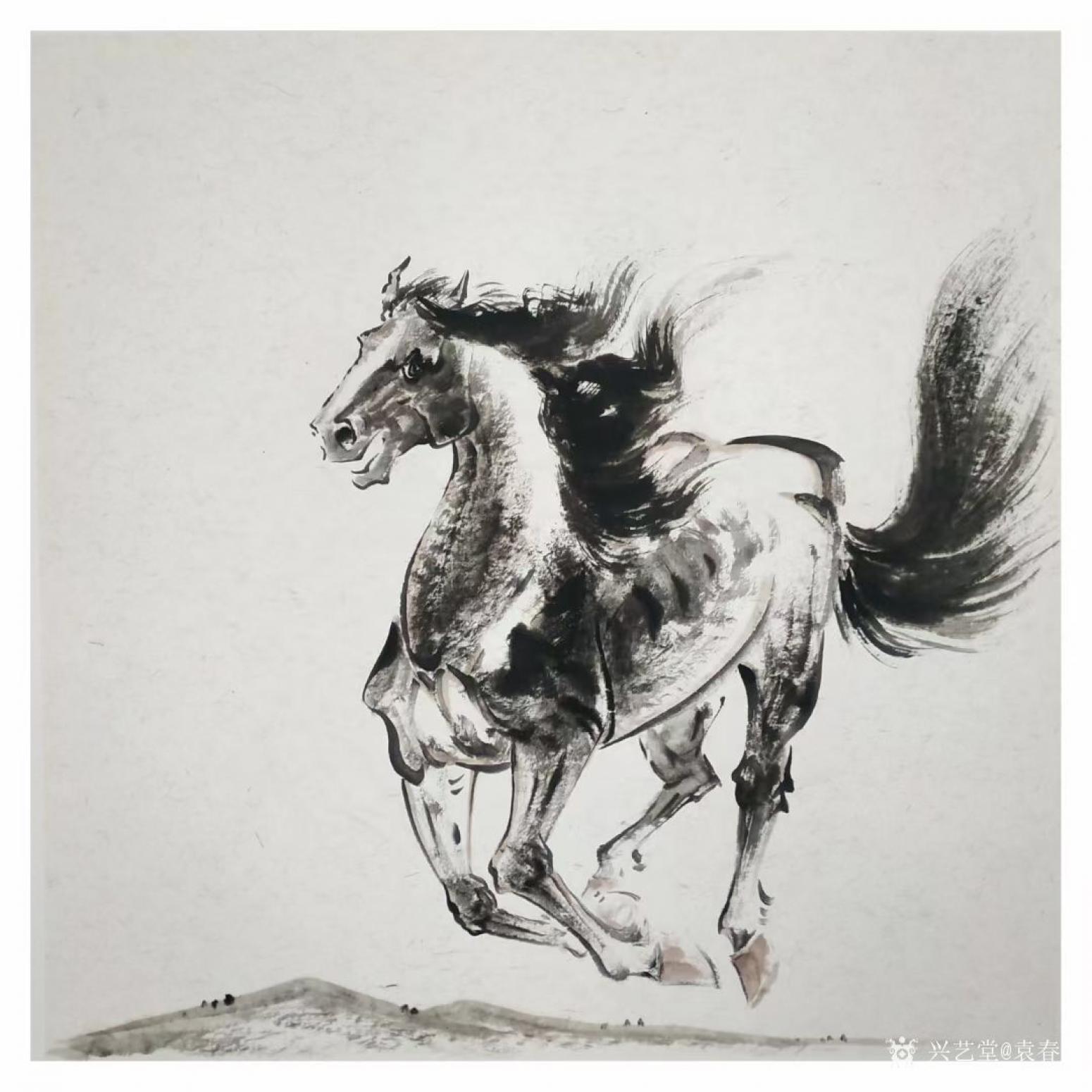 袁春宝国画作品《奔马图》