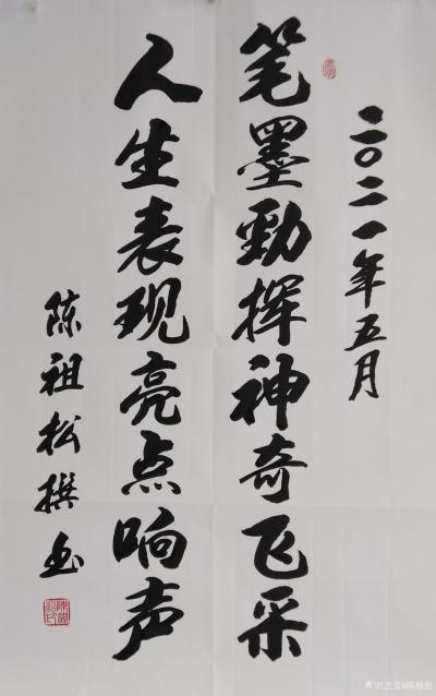 陈祖松日记-书法：笔墨劲挥神奇飞采，人生表现亮点响声。【图1】