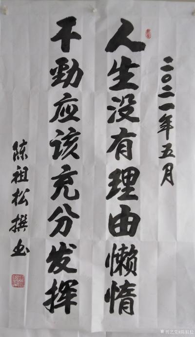 陈祖松日记-书法：人生没有理由懶惰，干劲应该充分发挥。【图1】