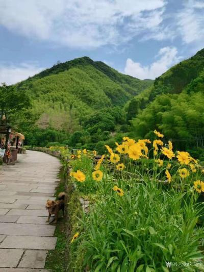 刘晓宁生活-以后会在石舍结缘越来越多的孩子，上班的时候不喜欢上课，每次站到讲台上感觉都不是很【图4】