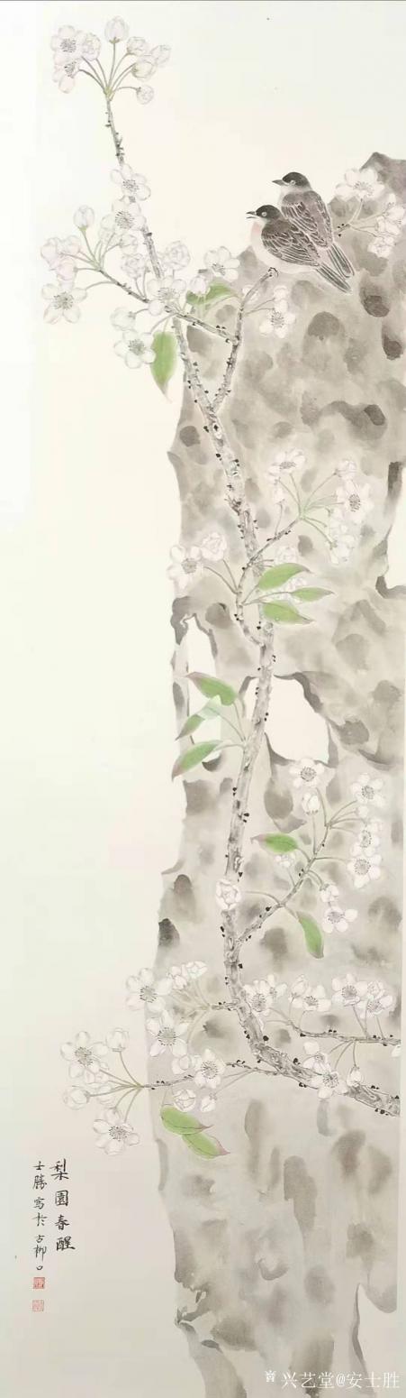 安士胜国画作品《工笔花鸟-2梨园春醒》