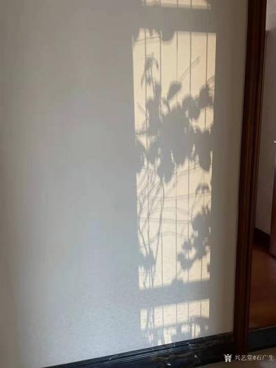 石广生日记-阳光国画：也许是天公感觉我墙壁太空，缺乏装饰，每天都让阳光给我送来一幅画，并直接【图1】