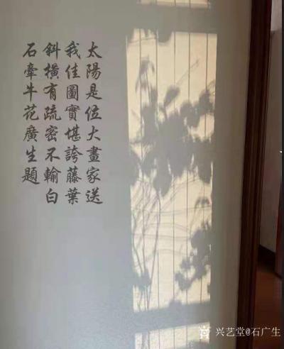石广生日记-阳光国画：也许是天公感觉我墙壁太空，缺乏装饰，每天都让阳光给我送来一幅画，并直接【图2】