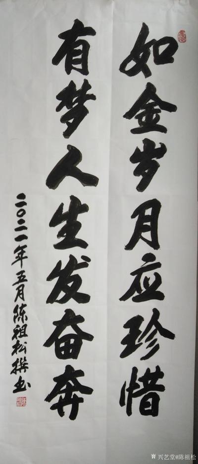 陈祖松日记-书法：如金岁月应珍惜，有梦人生发奋奔。【图1】