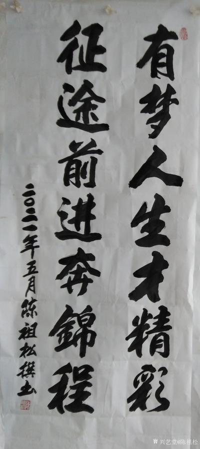 陈祖松日记-书法：有梦人生才精彩，征途前进奔锦程。【图1】