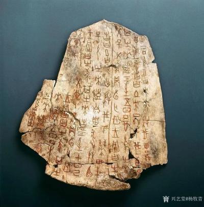 杨牧青日记-请辨识：那个是伪刻或仿刻的牛肩胛骨刻辞的殷墟甲骨片？
这是多种书册都收录的影印【图1】