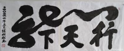 陈祖松日记-书法作品：龙行天下【图2】