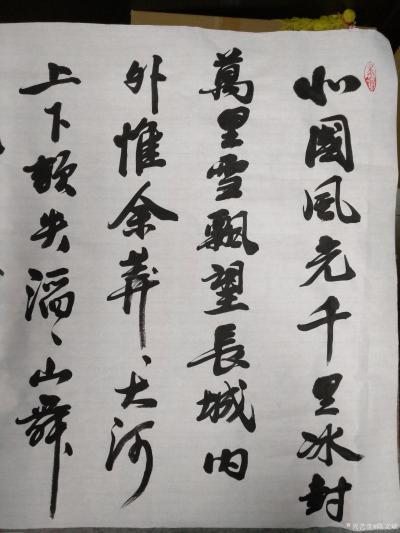 陈文斌日记-书法家陈文斌书行书录《沁园春.雪》辛丑夏月书；
北国风光，千里冰封，万里雪飘。【图1】