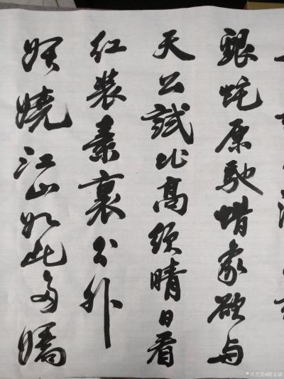 陈文斌日记-书法家陈文斌书行书录《沁园春.雪》辛丑夏月书；
北国风光，千里冰封，万里雪飘。【图2】