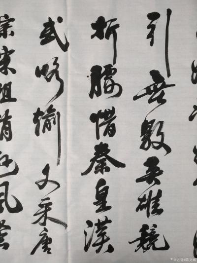 陈文斌日记-书法家陈文斌书行书录《沁园春.雪》辛丑夏月书；
北国风光，千里冰封，万里雪飘。【图3】