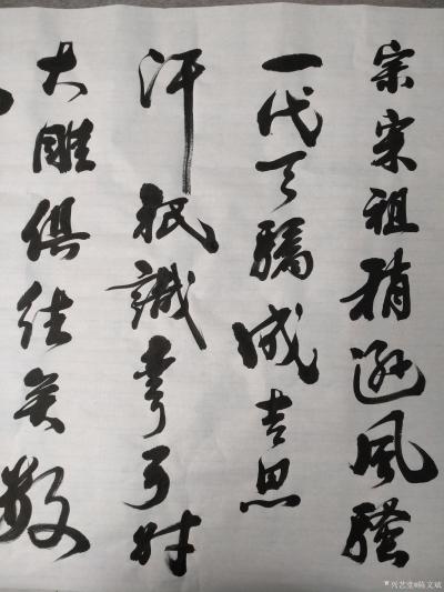 陈文斌日记-书法家陈文斌书行书录《沁园春.雪》辛丑夏月书；
北国风光，千里冰封，万里雪飘。【图4】