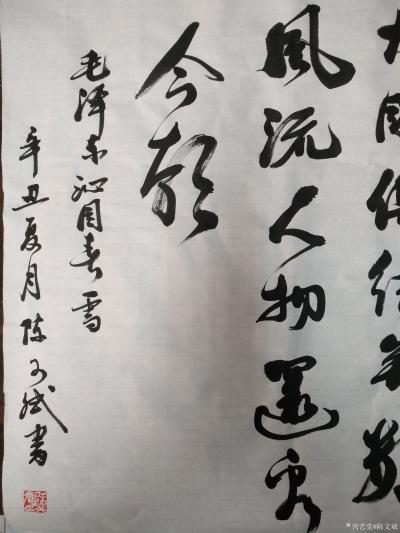 陈文斌日记-书法家陈文斌书行书录《沁园春.雪》辛丑夏月书；
北国风光，千里冰封，万里雪飘。【图5】