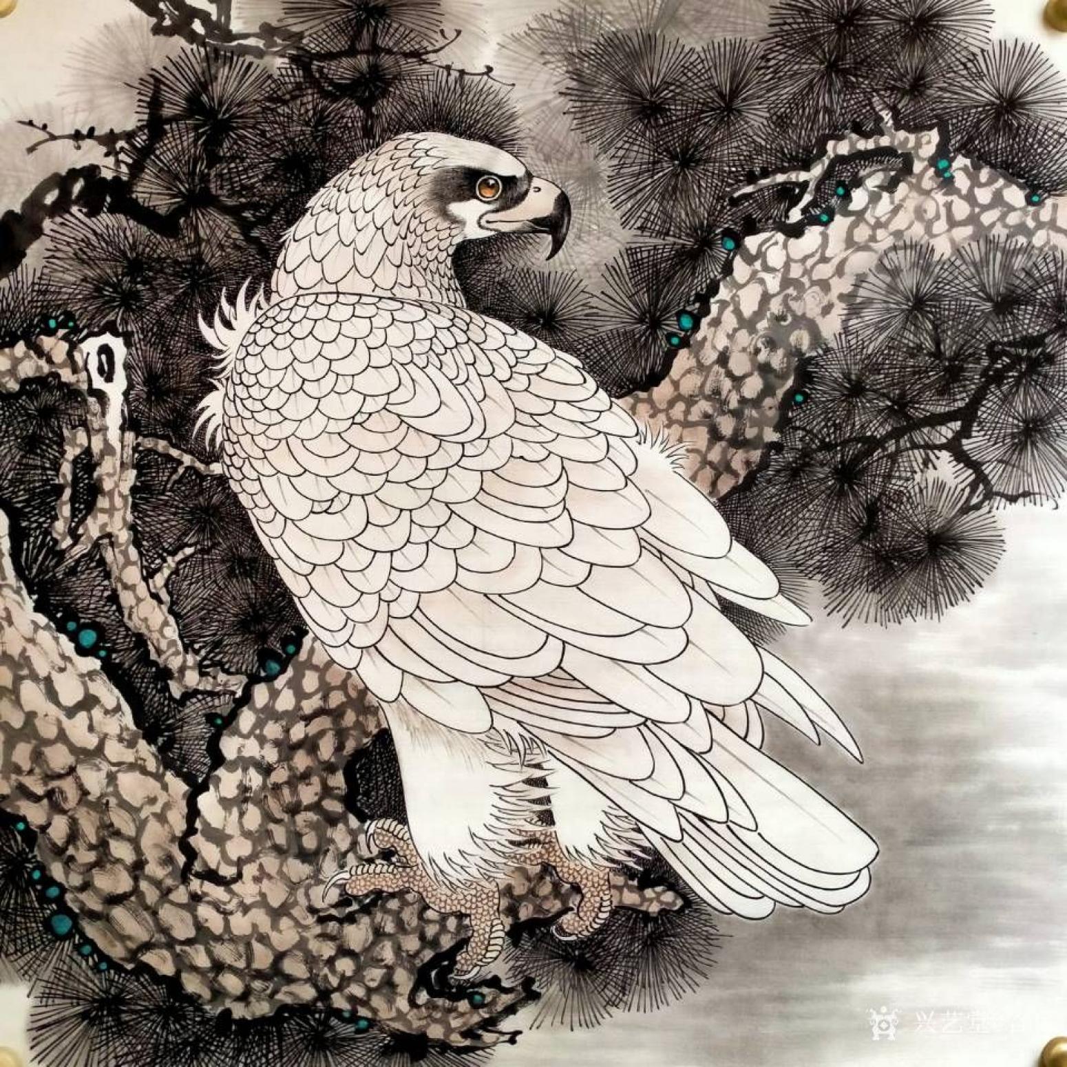 谷风国画作品《白毛鹰》