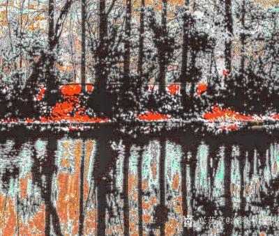 罗万中（新兴概念艺术）兴艺空间精选封面动态图片