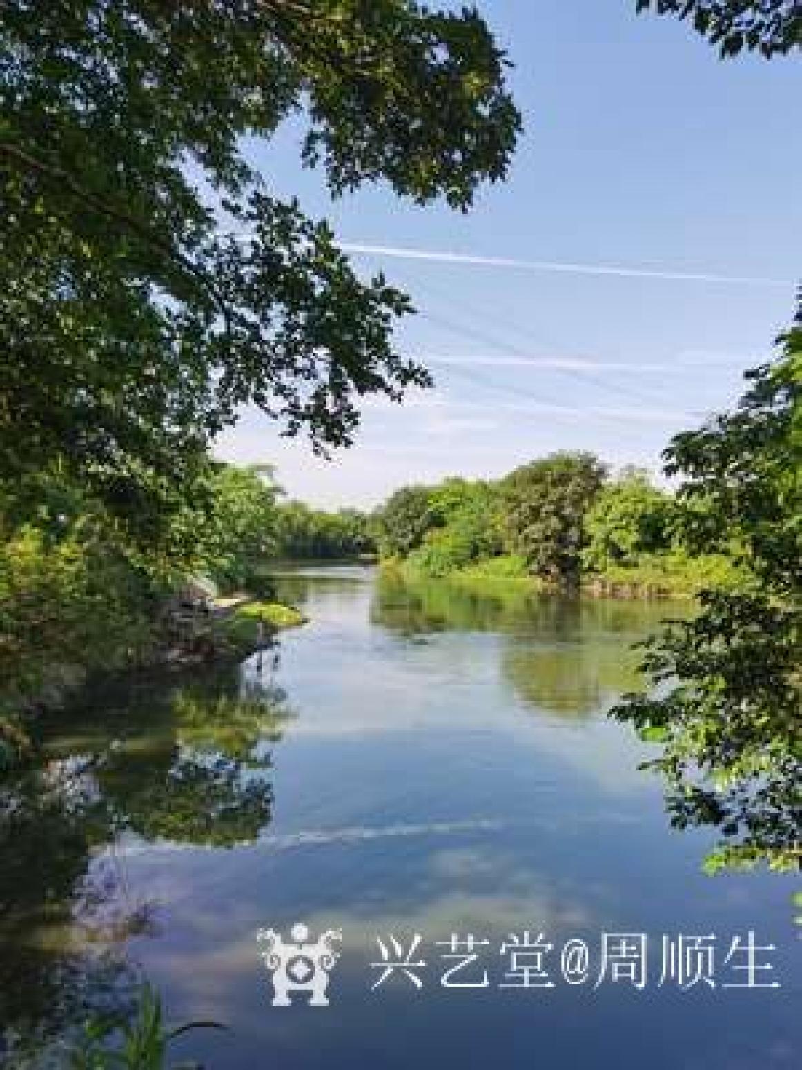 周顺生国画作品《四尺春醉桃花江》【图1】