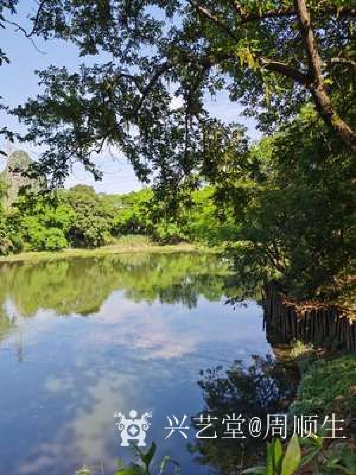 周顺生国画作品《四尺春醉桃花江》【图3】