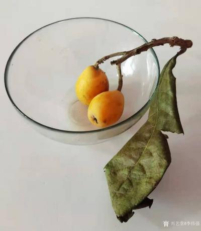 李伟强日记-又说枇杷
   往年，枇杷果多是五月才有，而今年春节后便见上市。近日友人随访，【图1】