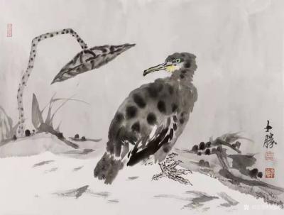 安士胜日记-国画水墨荷花系列作品《荷叶五寸荷花娇》；
第五幅是十年前老红星宣纸，仅一尺，挥【图4】