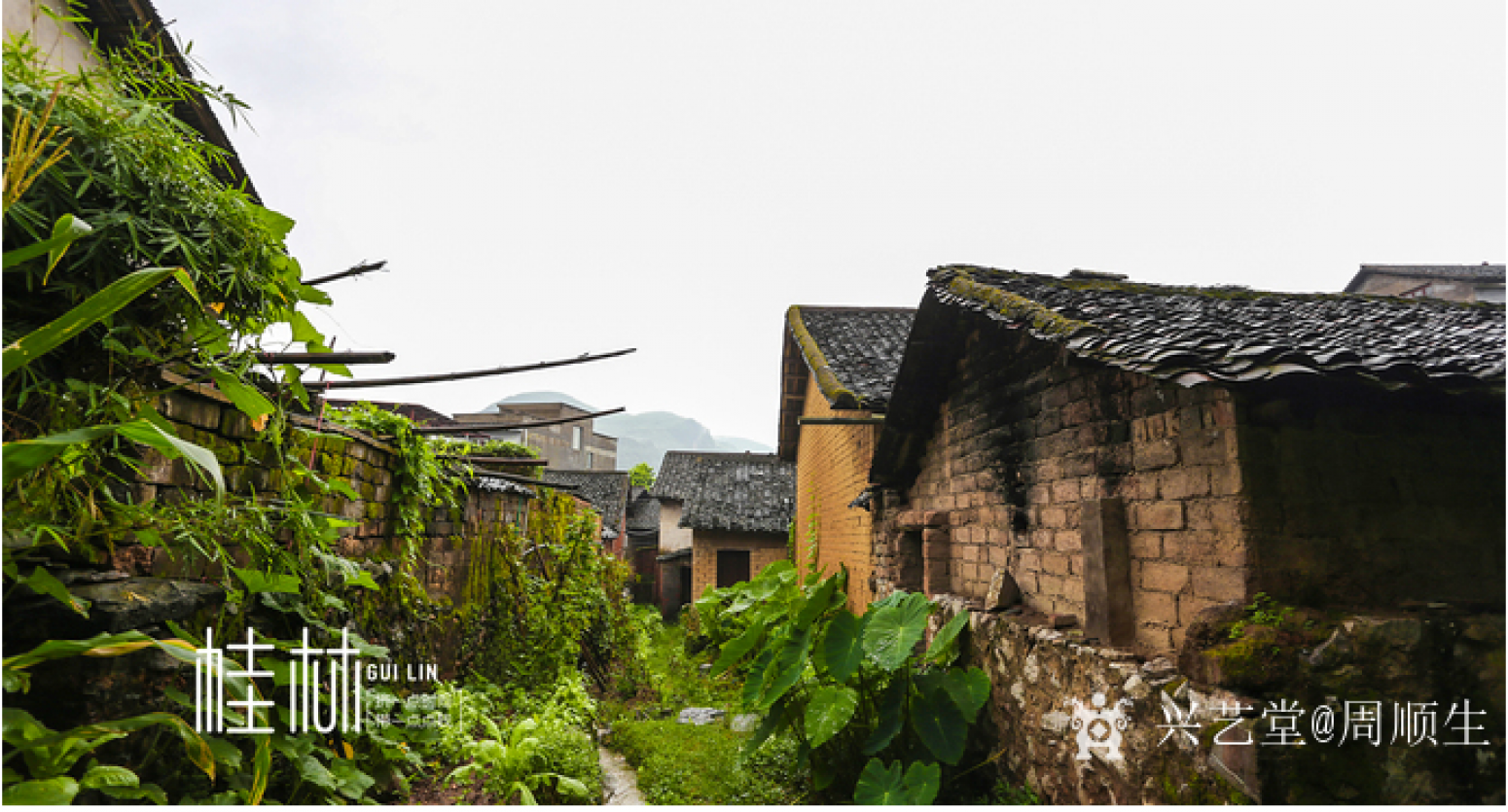 周顺生国画作品《四尺古渡横舟大圩古镇》【图2】