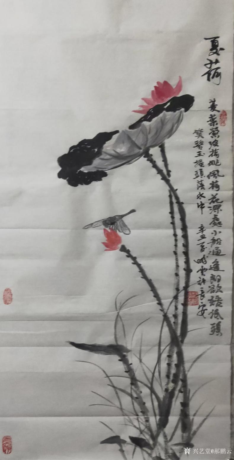 郝鹏云国画作品《荷花-夏荷》