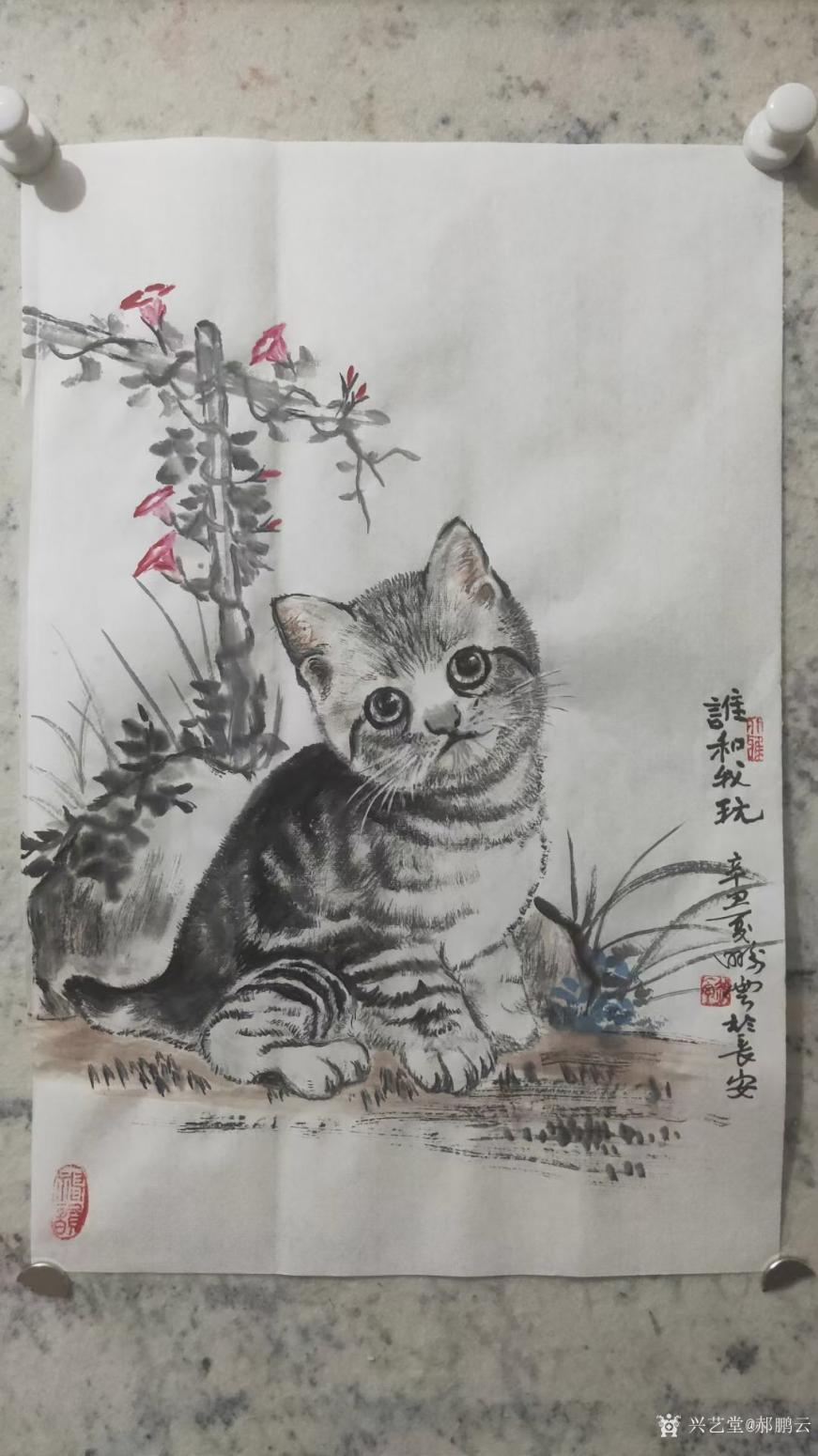 郝鹏云国画作品《萌猫-谁和我玩》【图0】