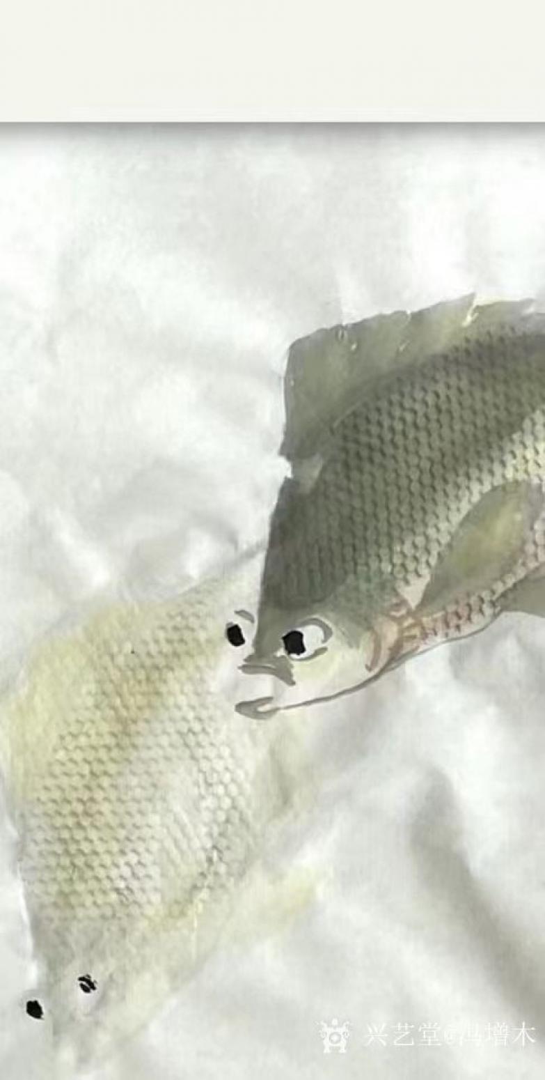 冯增木国画作品《鱼-金鳞引春风》【图1】