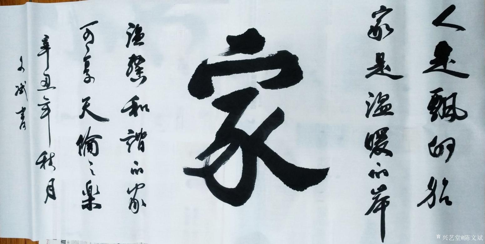 陈文斌书法作品《家》