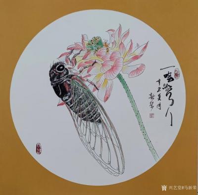 马新荣日记-国画花鸟画小品蝉《一鸣惊人》，作品尺寸四尺斗方60X60CM；辛丑年夏月马新荣作【图1】