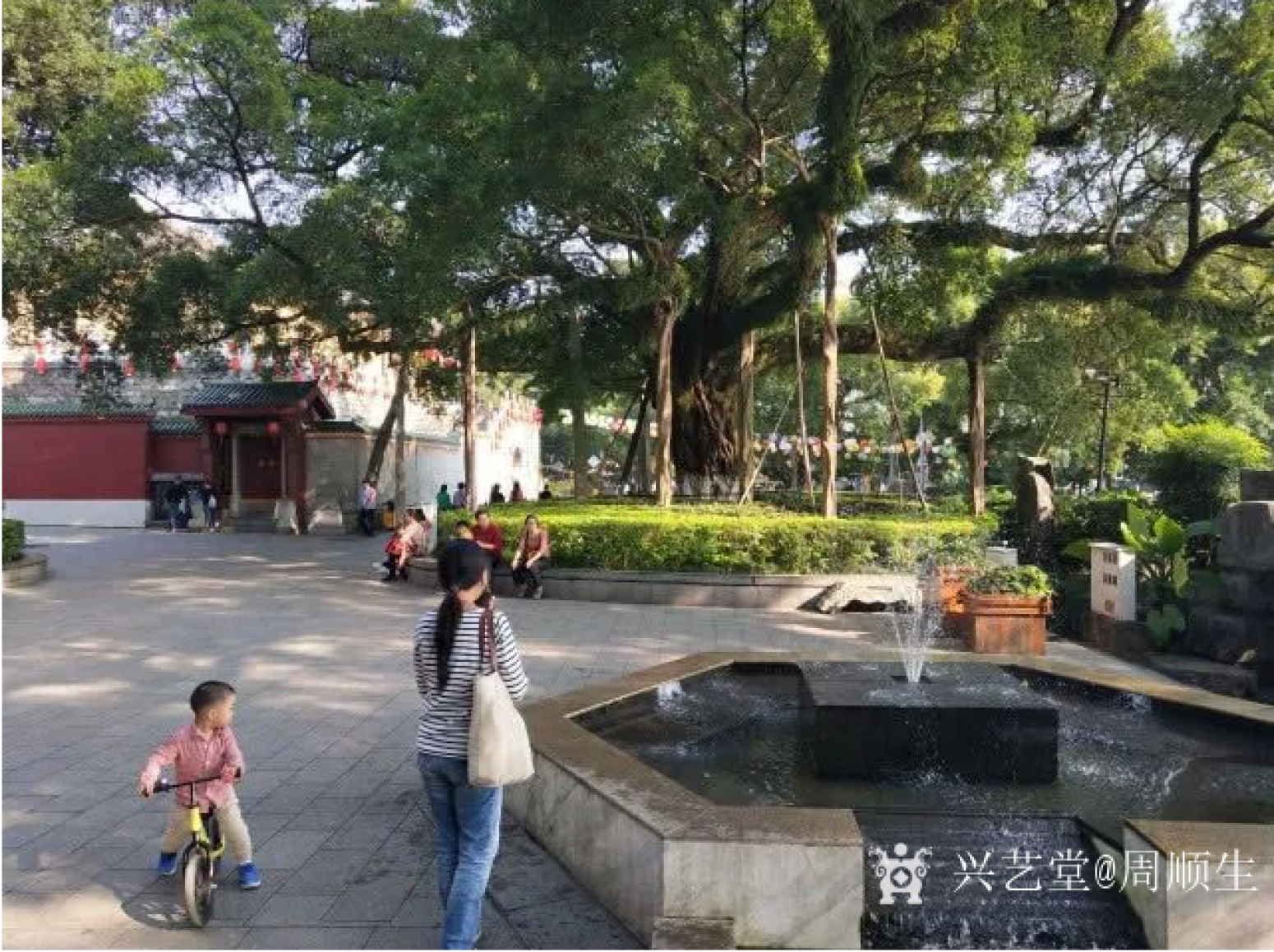 周顺生国画作品《四尺古南门古榕欣赏》【图2】