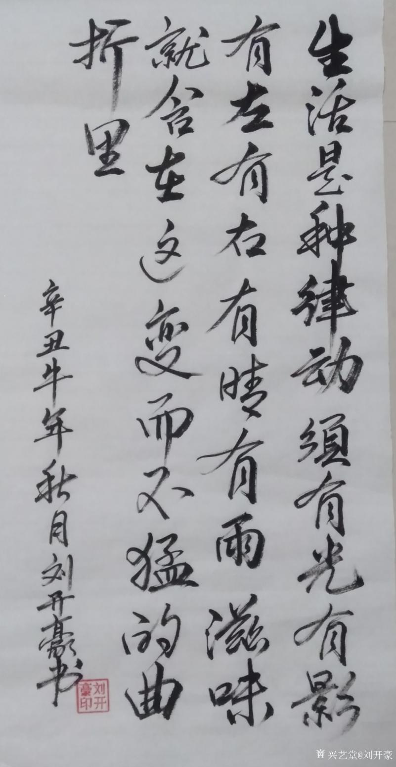 刘开豪书法作品《《生活是种律动》》【图0】