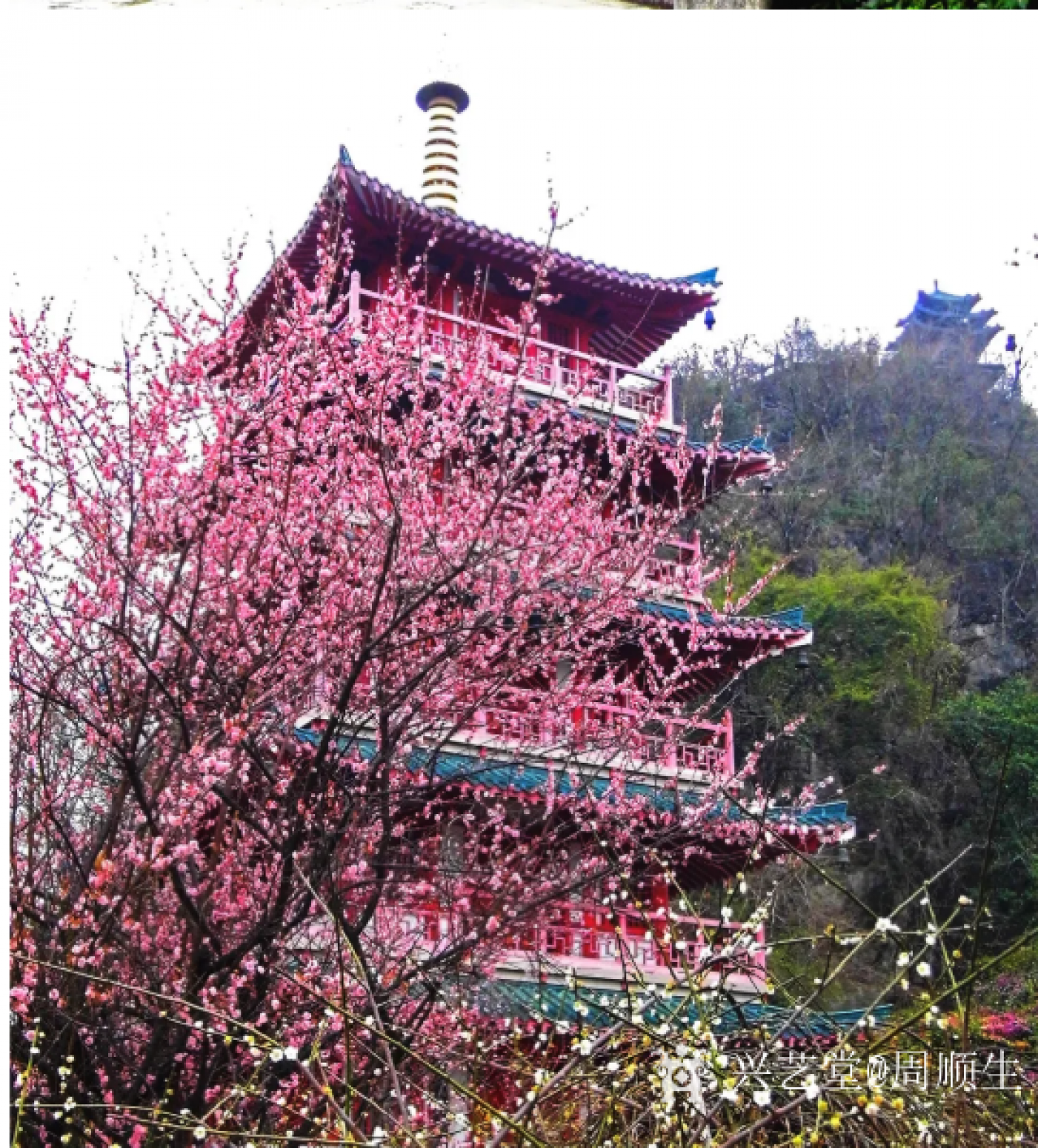 周顺生国画作品《四尺月桂钟楼欣赏》【图2】