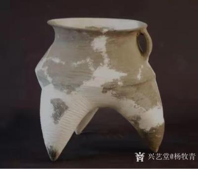 杨牧青日记-红色圣地一一庆阳，这里是甘肃省唯一的革命老区。1934年，刘志丹、习仲勋等老一辈【图3】