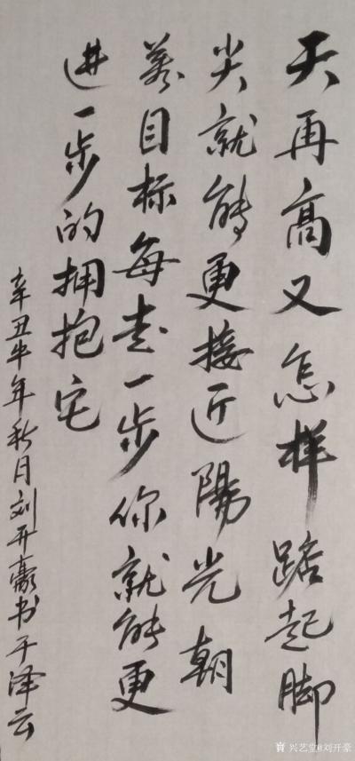 刘开豪日记-《天再高又怎样》书法       天再高又怎样，踮起脚尖就能更接近阳光，朝着目标【图1】